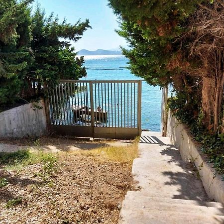 Portofino Flying Whale Apartment Benidorm Ngoại thất bức ảnh