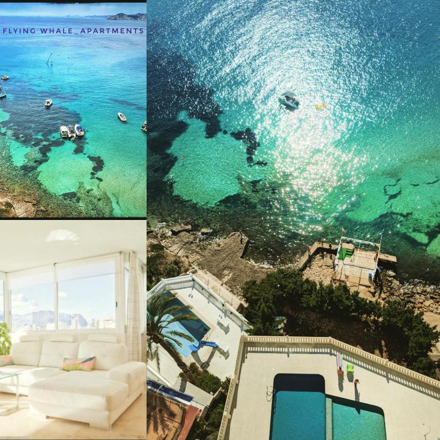 Portofino Flying Whale Apartment Benidorm Ngoại thất bức ảnh